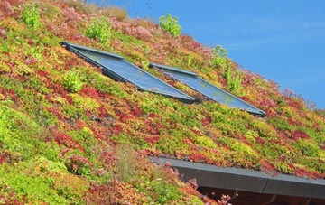 Dam Mill living roof systems